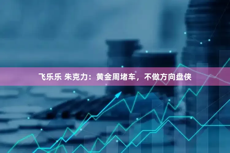 飞乐乐 朱克力：黄金周堵车，不做方向盘侠