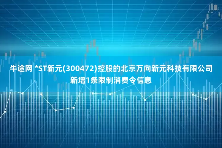 牛途网 *ST新元(300472)控股的北京万向新元科技有限公司新增1条限制消费令信息